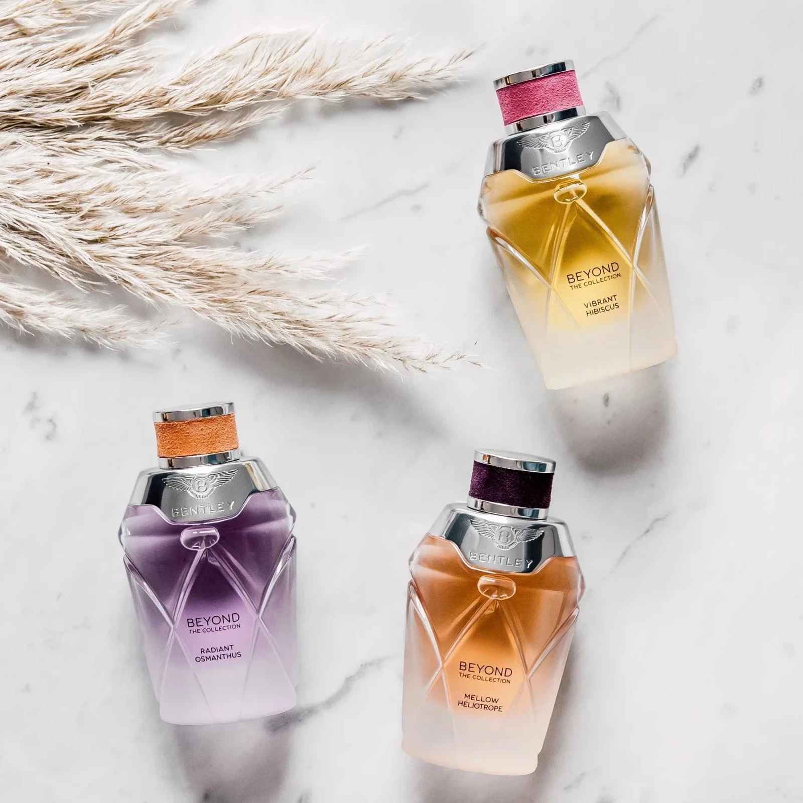 Bentley Beyond The Collection Mellow Heliotrope manufacturer bottle, linked from the supplied product catalogue.