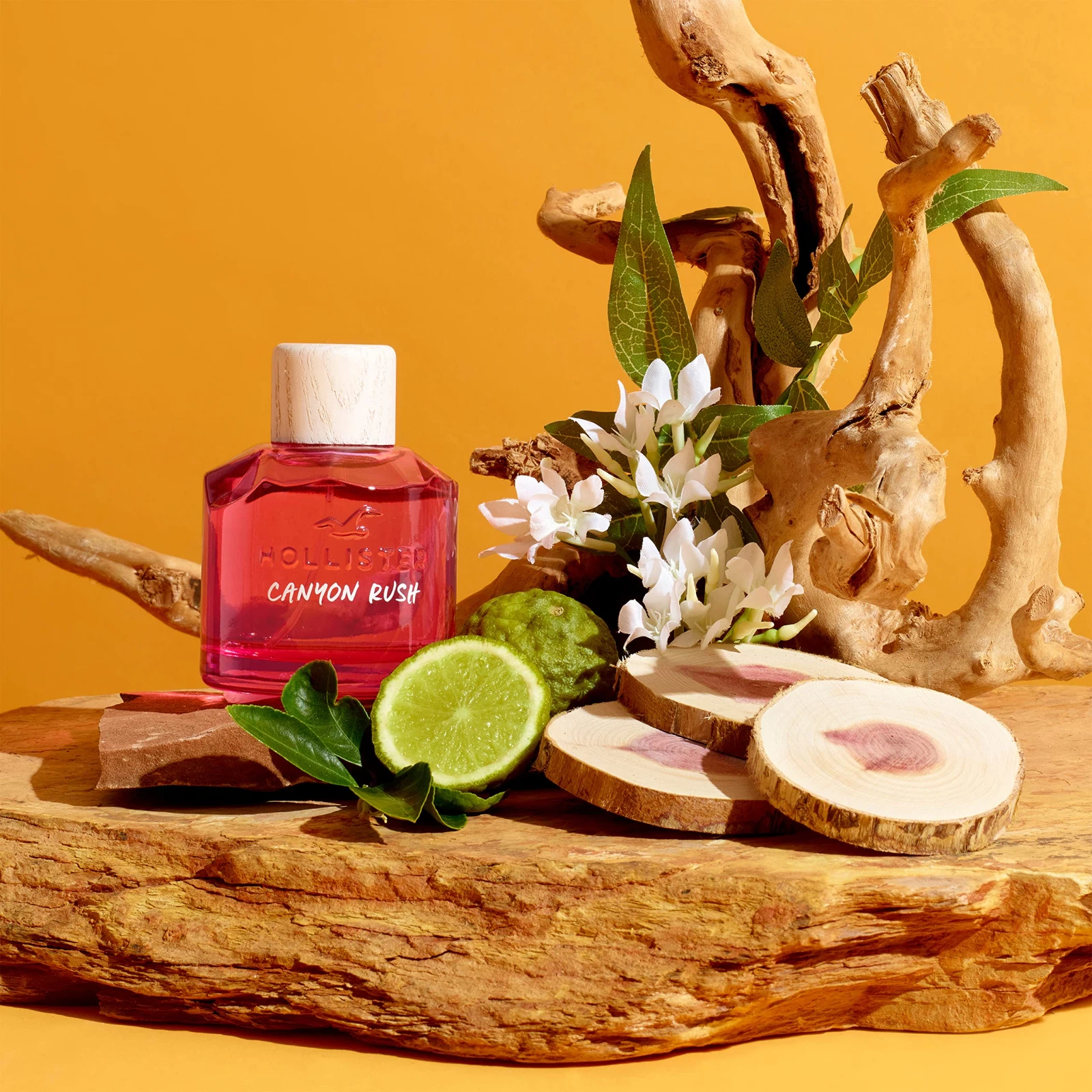 Hollister Canyon Rush manufacturer bottle, linked from the supplied product catalogue.