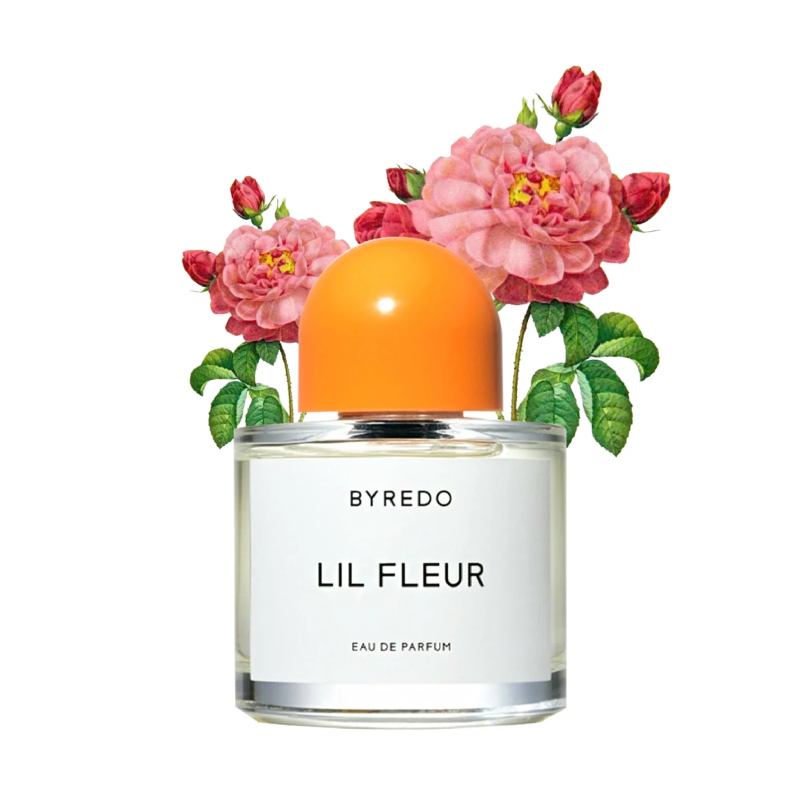 Byredo Lil Fleur Amber Limited Edition manufacturer bottle, linked from the supplied product catalogue.