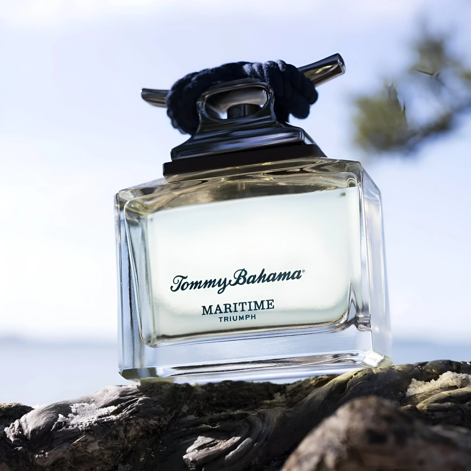 Tommy Bahama Maritime Triumph manufacturer bottle, linked from the supplied product catalogue.