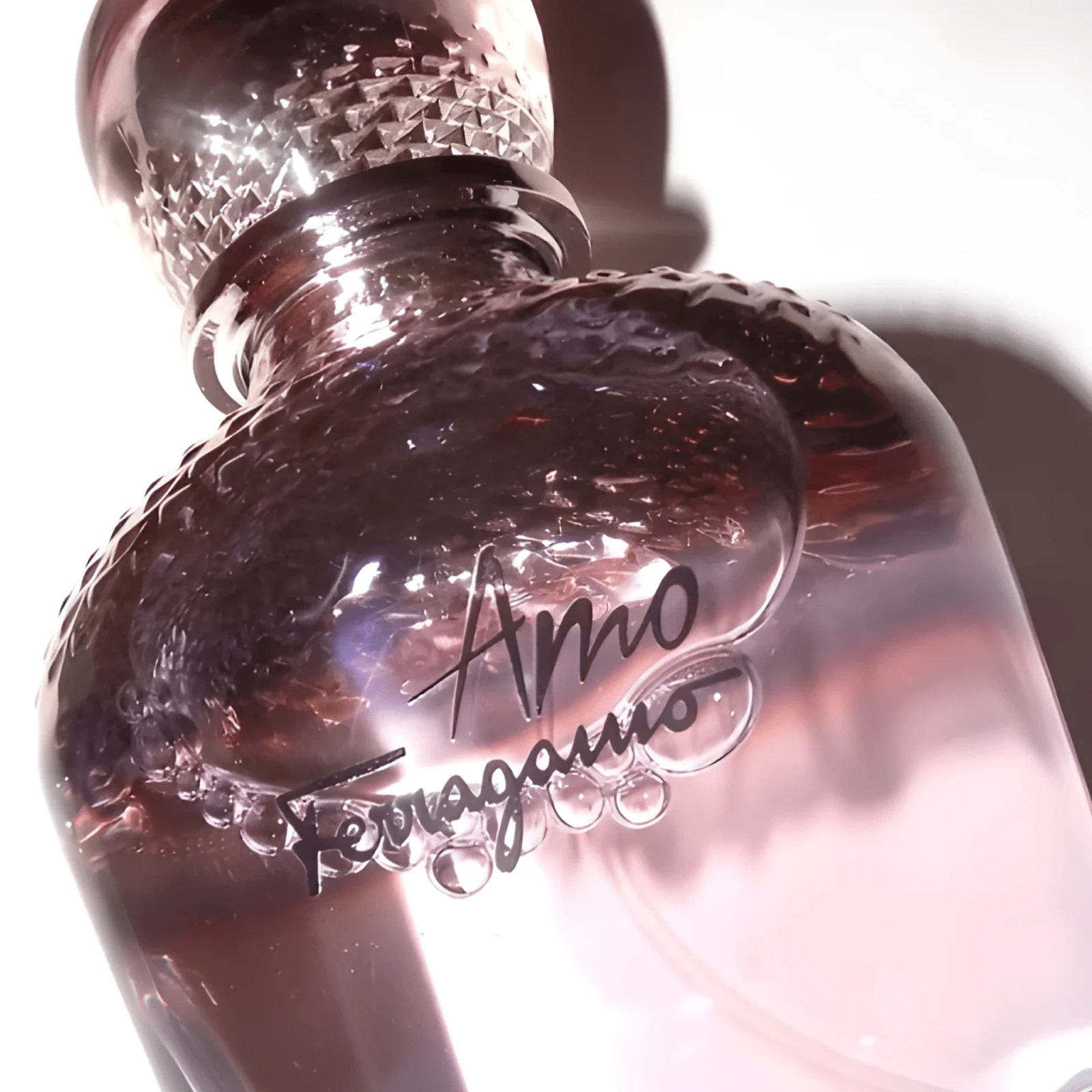 Salvatore Ferragamo Amo Ferragamo manufacturer bottle, linked from the supplied product catalogue.