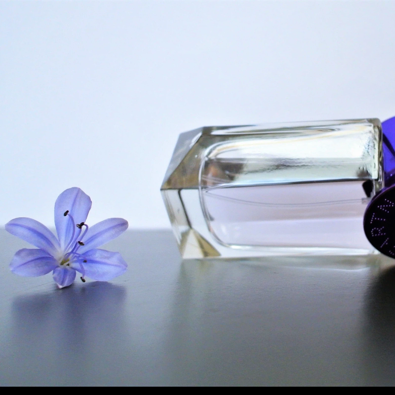 Stella McCartney POP BLUEBELL manufacturer bottle, linked from the supplied product catalogue.