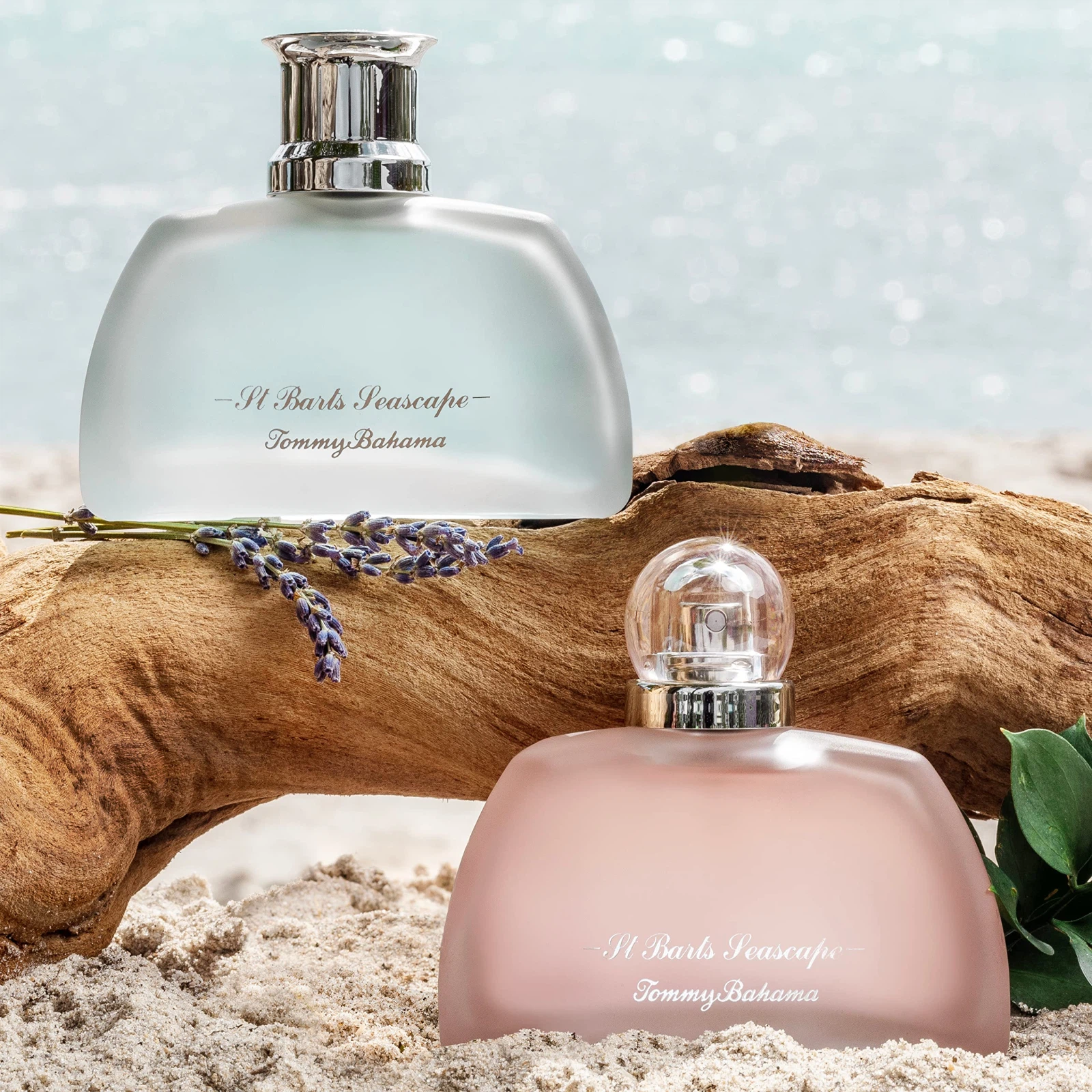Tommy Bahama St Barts Seascape manufacturer bottle, linked from the supplied product catalogue.