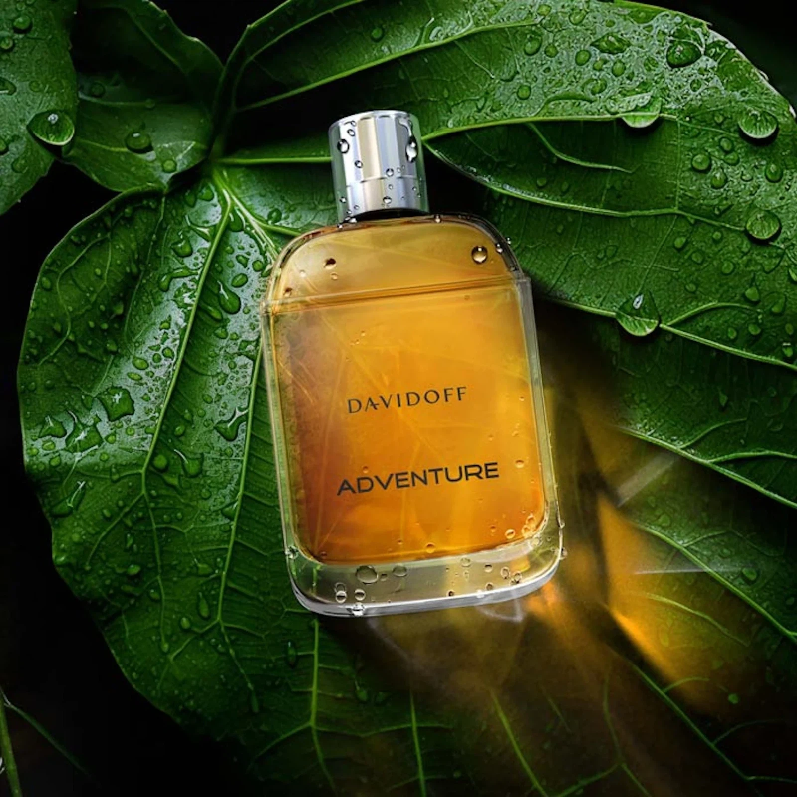 Davidoff Adventure manufacturer bottle, linked from the supplied product catalogue.
