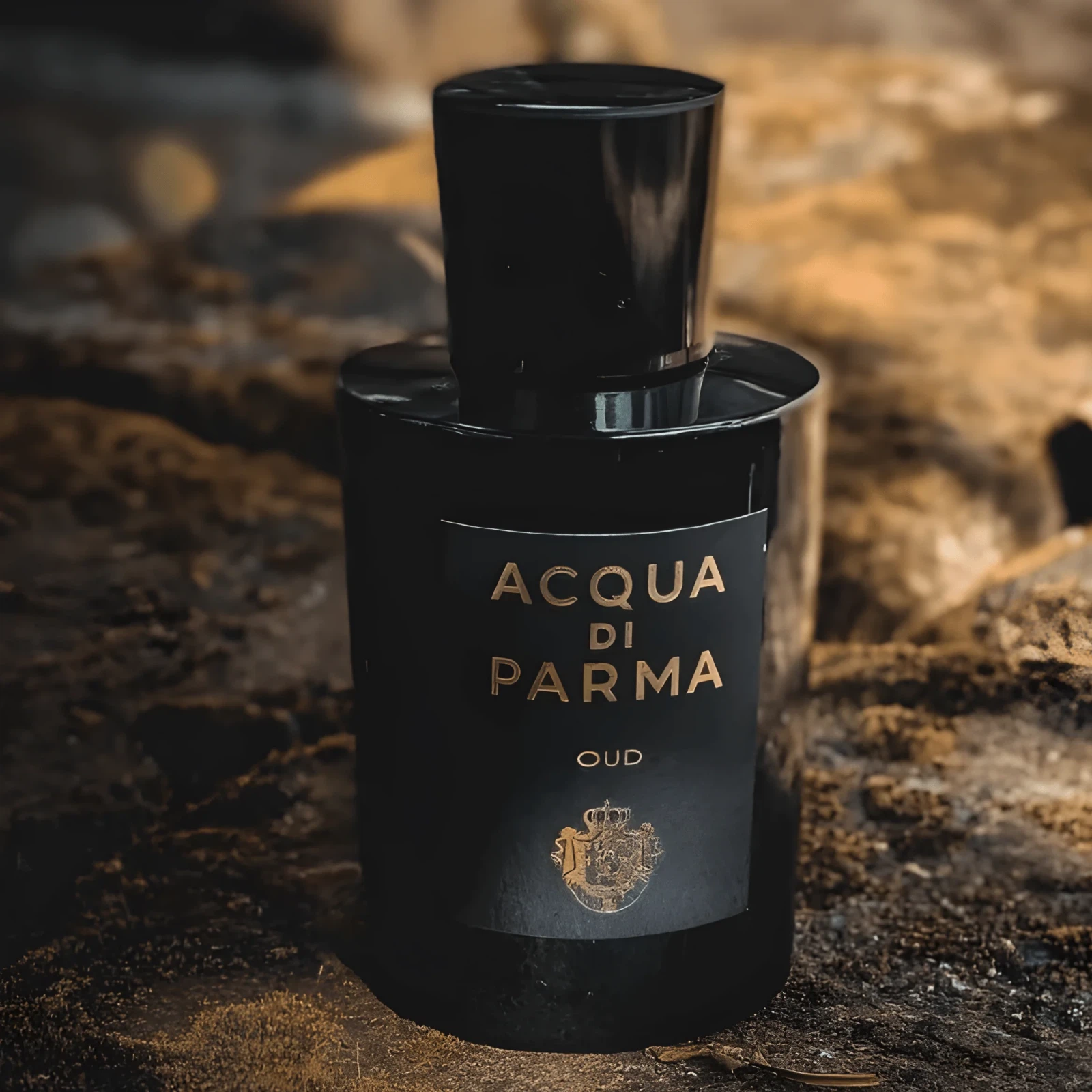 Acqua di Parma Ambra manufacturer bottle, linked from the supplied product catalogue.