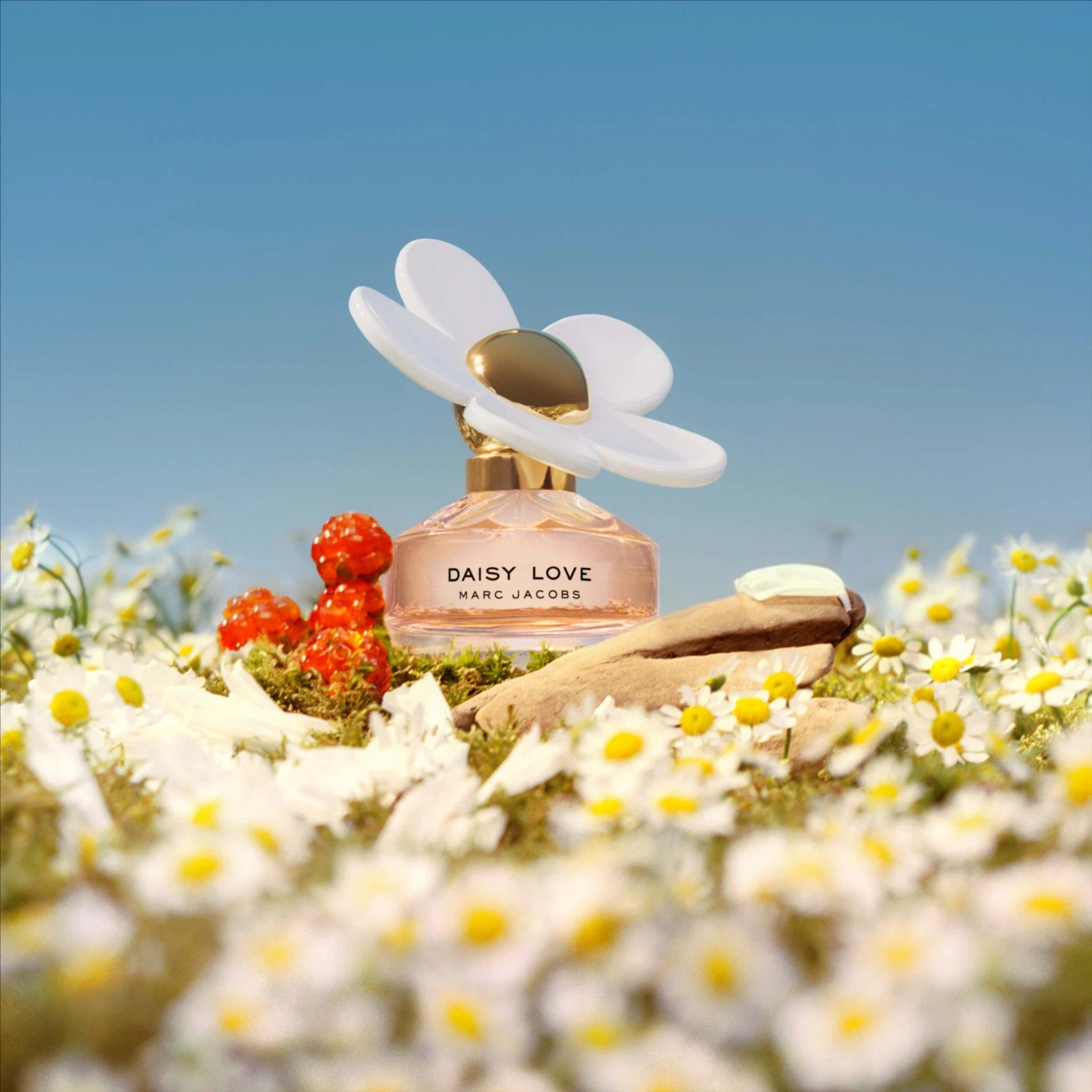 Marc Jacobs Daisy Love manufacturer bottle, linked from the supplied product catalogue.