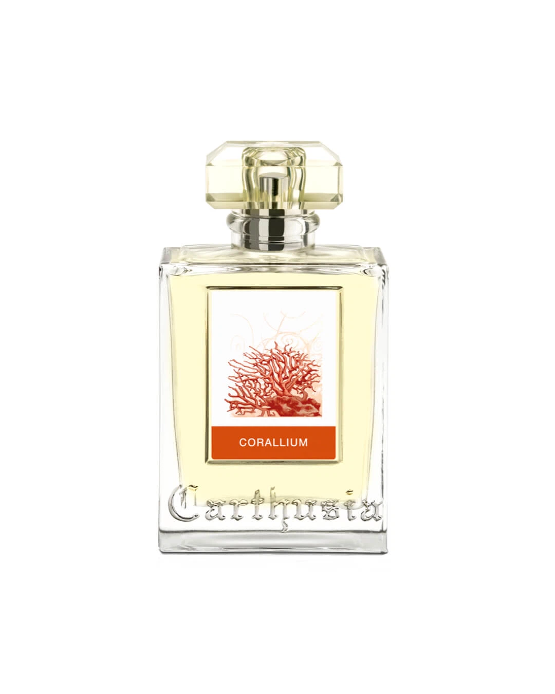 Carthusia corallium manufacturer bottle.